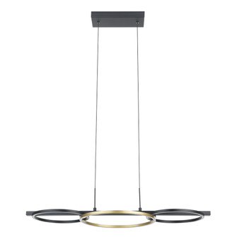 Boyal LED Pendant in Structured Black & Gold (217|205746A)