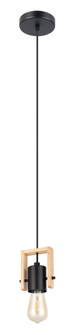 Plimsoll One Light Pendant in Black & Wood (217|205655A)