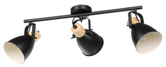 Coswarth Three Light Fixed Track Light in Black (217|205513A)