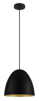 Sarabia One Light Pendant in Black (217|204315A)