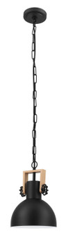 Lubenham One Light Pendant in Black (217|204201A)