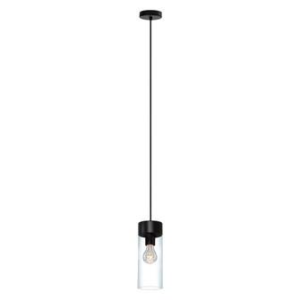 Montey One Light Pendant in Matte Black (217|202127A)