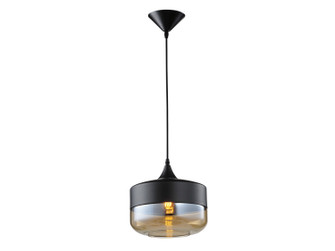 Robertson Blvd. One Light Pendant in Black (192|HF9113-BK/BZ)