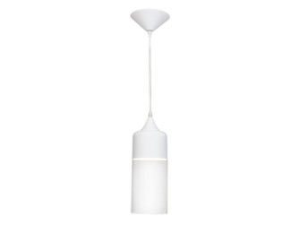 Robertson Blvd. One Light Pendant in White (192|HF9112-WHT)