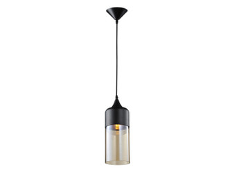 Robertson Blvd. One Light Pendant in Black (192|HF9112-BK/BZ)