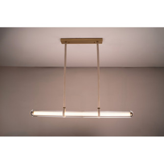Nautilus LED Linear Pendant in Aged Brass (192|HF7300-AB)