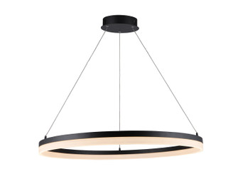 Circa Led LED Pendant in Black (192|HF5028-BK)