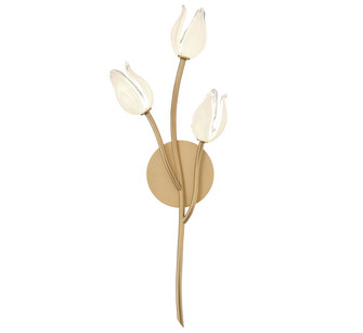 Belluno LED Wall Mount in Champagne Gold (541|12083-03)