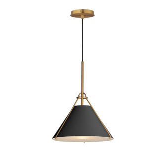 Lucas One Light Pendant in Black / Natural Aged Brass (16|25229BKNAB)