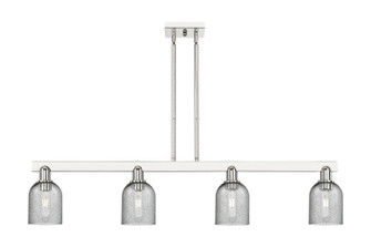 Arcadia Four Light Island Pendant in Polished Nickel (405|716-4I-PN-G257)