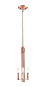 Arcadia Three Light Mini Pendant in Antique Brass (405|716-3S-AC)