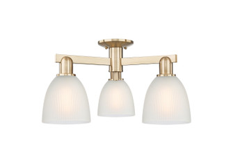 Arcadia Three Light Semi-Flush Mount in Champagne Bronze (405|716-3F-CB-G381)