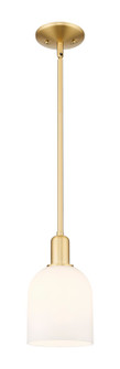 Arcadia One Light Mini Pendant in Satin Gold (405|716-1S-SG-G558-6GWH)