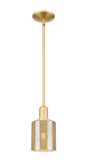 Arcadia One Light Mini Pendant in Satin Gold (405|716-1S-SG-G116)