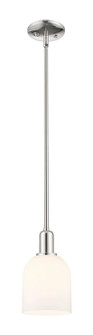Arcadia One Light Mini Pendant in Polished Nickel (405|716-1S-PN-G558-6GWH)