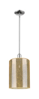 Arcadia One Light Mini Pendant in Polished Chrome (405|716-1S-PC-G116)