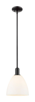 Arcadia One Light Mini Pendant in Matte Black (405|716-1S-BK-GBD-91)