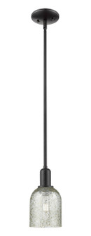 Arcadia One Light Mini Pendant in Matte Black (405|716-1S-BK-G259)