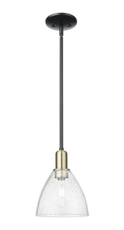 Arcadia One Light Mini Pendant in Black Antique Brass (405|716-1S-BAB-GBD-754)