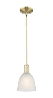 Arcadia One Light Mini Pendant in Antique Brass (405|716-1S-AB-G381)
