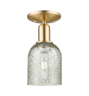 Arcadia One Light Semi-Flush Mount in Champagne Bronze (405|716-1C-CB-G259)