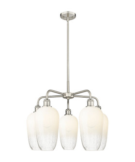 Ballston Five Light Chandelier in Satin Nickel (405|516-5CR-SN-G484-7OP)