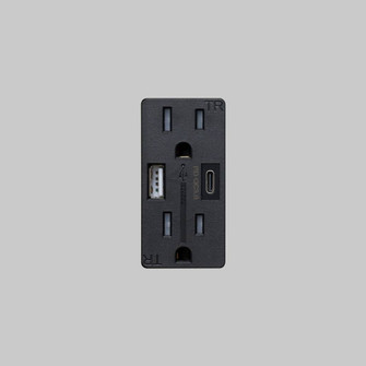 Outlet Module in Black (576|NSM-023242)
