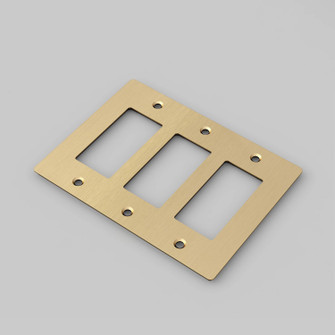 Wall Plate in Brass (576|NPL-053588)