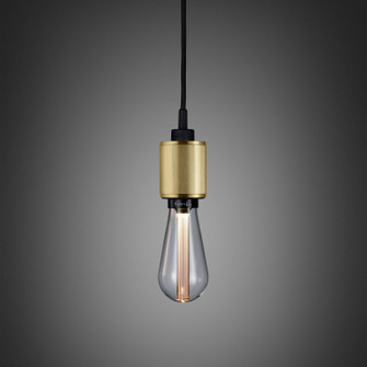 LED Pendant in Brass (576|NHM-052911)