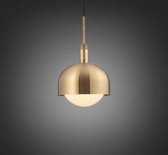 LED Pendant in Brass (576|NFP-813165)