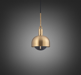 LED Pendant in Brass (576|NFP-813164)