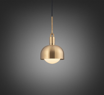 LED Pendant in Brass (576|NFP-813163)