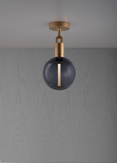 LED Linear Ceiling Mount in Brass (576|NFC-823207)