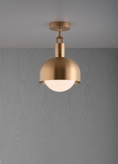 LED Linear Ceiling Mount in Brass (576|NFC-813199)