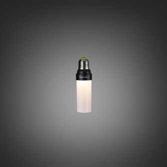 Light Bulb in Opal (576|NFB-011581)