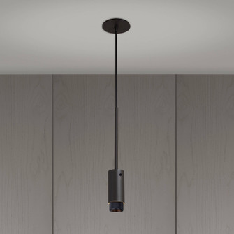 LED Spotlight in Black (576|NEIG-943939)