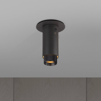 LED Spotlight in Smoked Bronze (576|NEIG-614009)