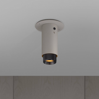 LED Spotlight in Smoked Bronze (576|NEIG-604017)