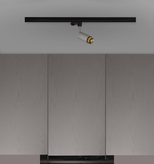 LED Spotlight in Brass (576|NEIG-254053)