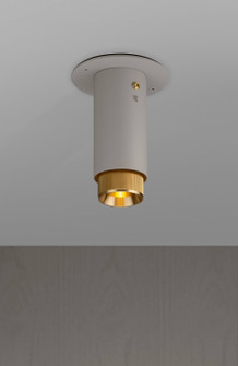 LED Spotlight in Brass (576|NEIG-254019)