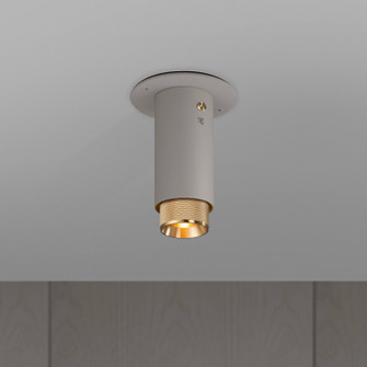 LED Spotlight in Brass (576|NEIG-254016)