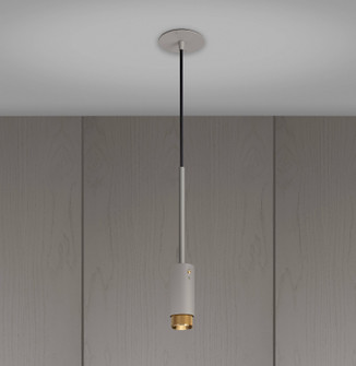 LED Spotlight in Brass (576|NEIG-253951)