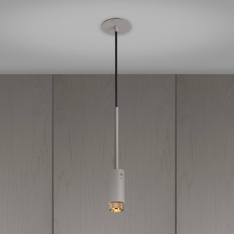 LED Spotlight in Brass (576|NEIG-253948)