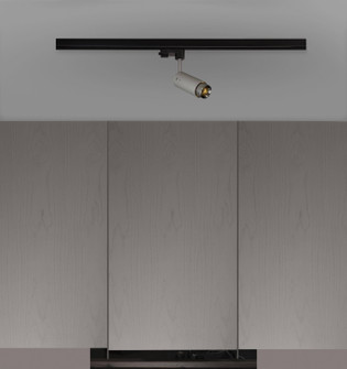 LED Spotlight in Steel (576|NEIG-234056)