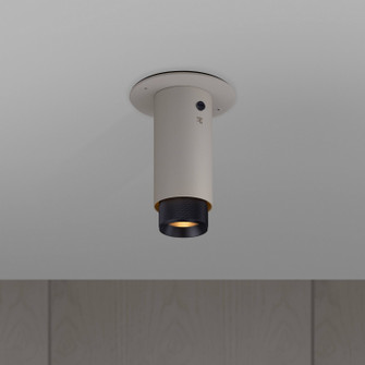 LED Spotlight in Black (576|NEIG-224015)