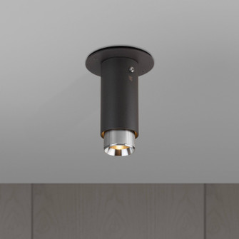 LED Spotlight in Steel (576|NEIG-194014)