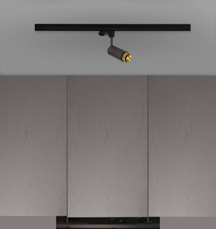 LED Spotlight in Brass (576|NEIG-184045)