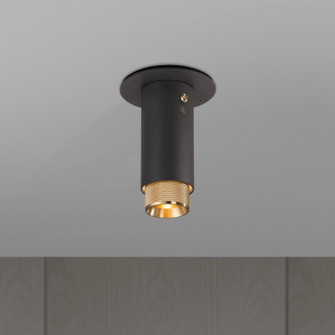 LED Spotlight in Brass (576|NEIG-184008)