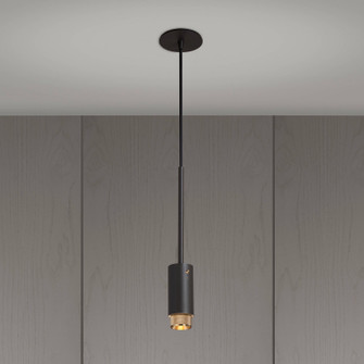 LED Spotlight in Brass (576|NEIG-183940)
