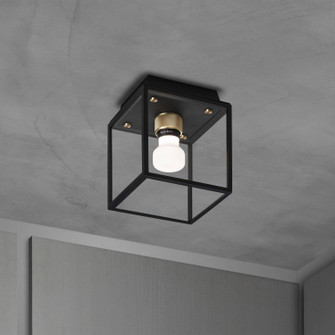 LED Ceiling Mount in Black / Brass (576|NCA-063538)